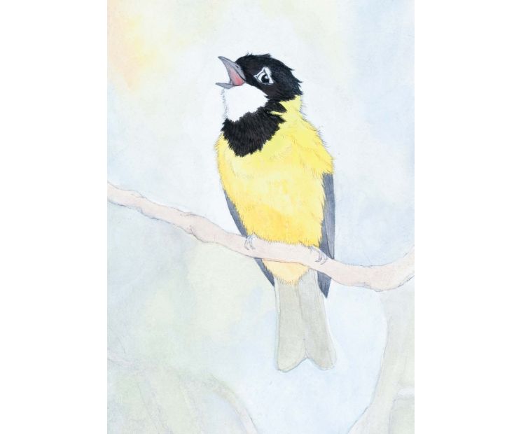 Card - Golden Whistler by Aleta