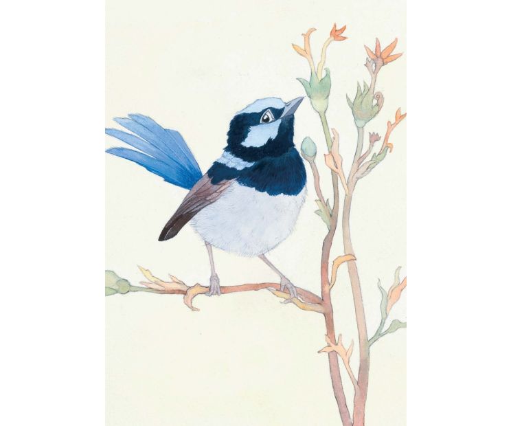 Card - Blue Fairy Wren Near Flowers by Aleta