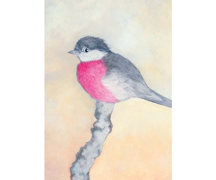 Card - Pink Robin by Aleta