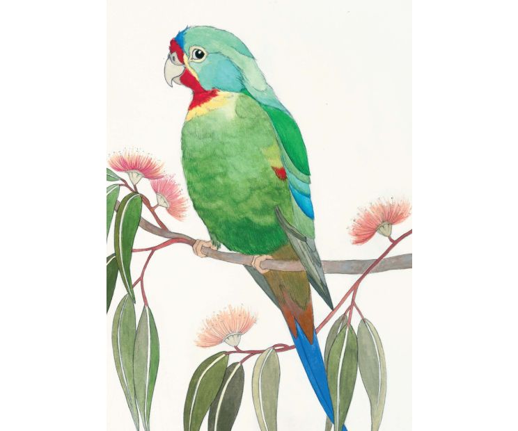 Card - Swift Parrot by Aleta