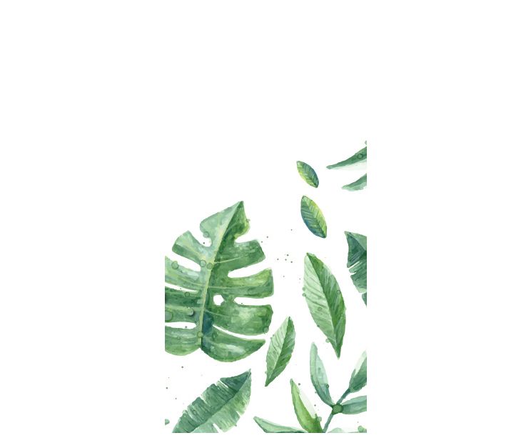 Gift Tags - Nuovo Botanical 1 - 48mm x 100mm (27 Assorted)