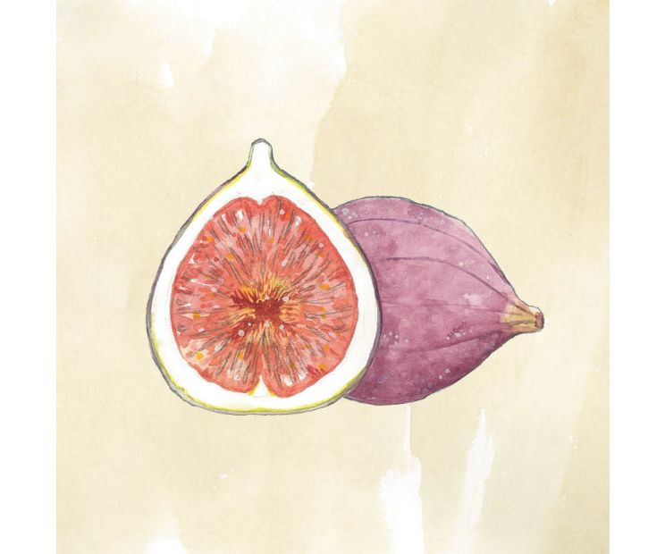 Card - Coco Range - 100mm x 100mm