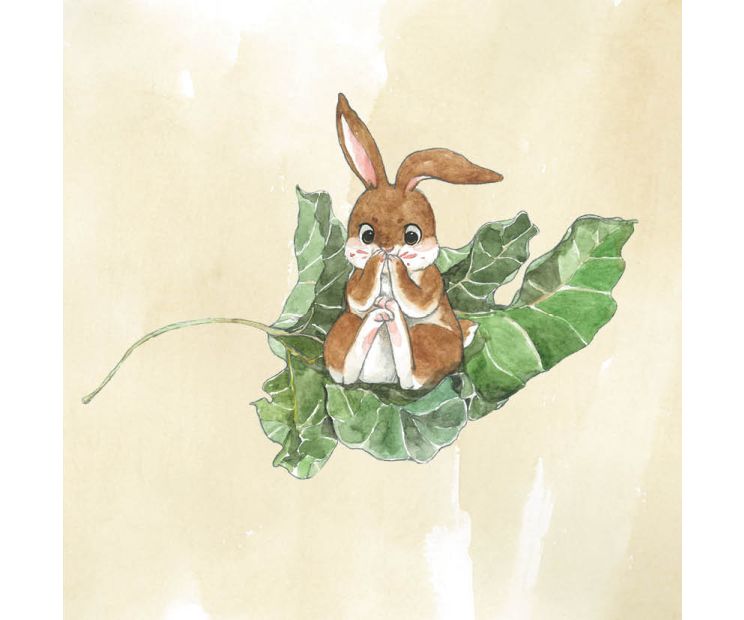 Card - Coco Range - 140mm x 140mm