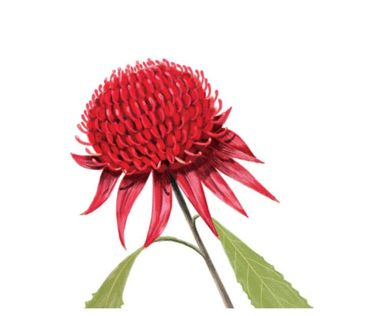 Card - Deb Hudson - 100mm x 100mm