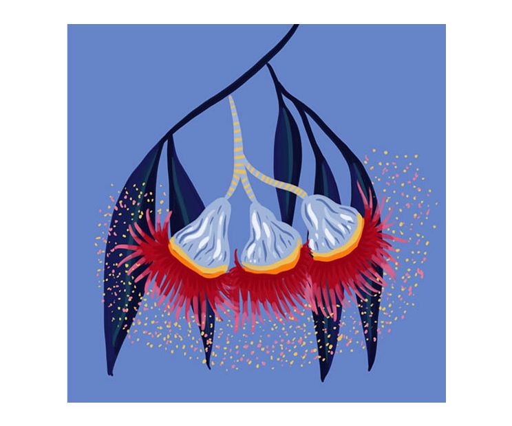 Card - Purple Gum Leaves by Emma Whitelaw