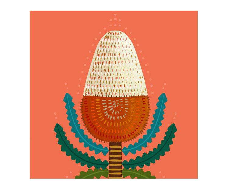 Card - Peach Waratah by Emma Whitelaw