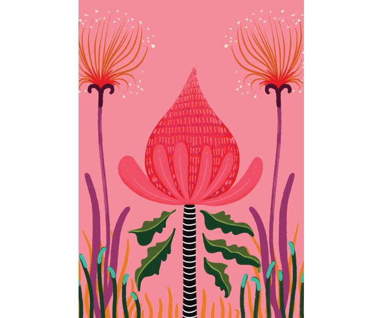 Card - Pink Waratah by Emma Whitelaw