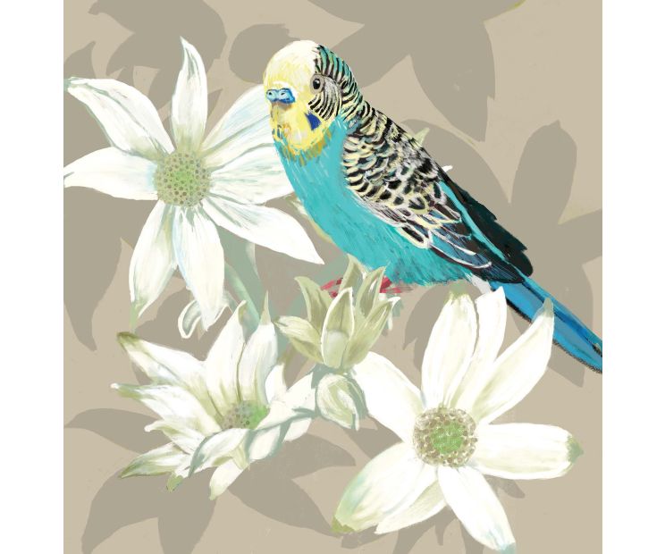 Card - Blue Budgie by Daniela Glassop