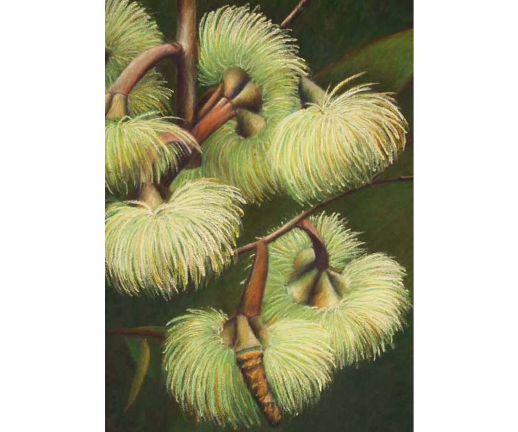 Card - Green Flora by Kylie Sirett