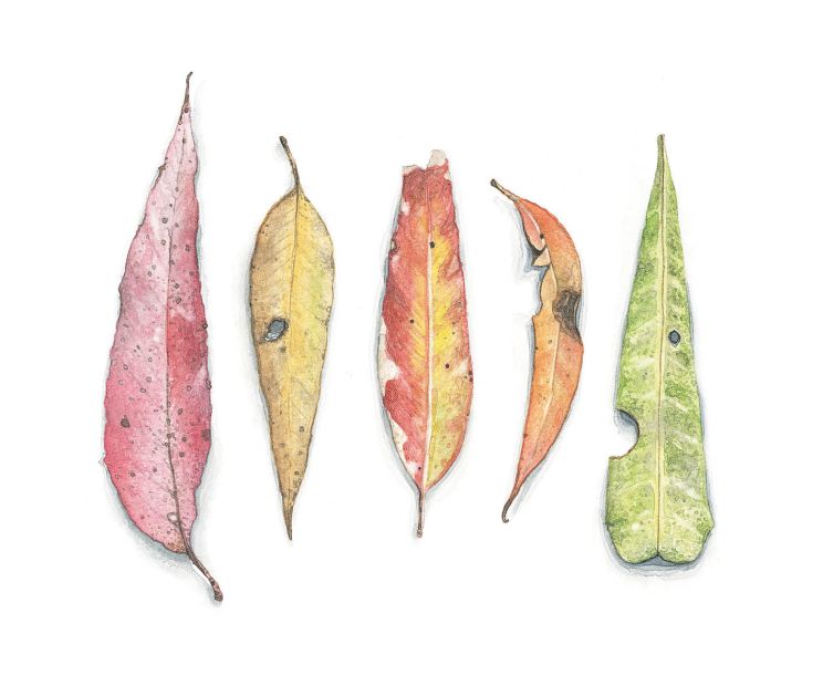 Card - Matteo - 100mm x 100mm