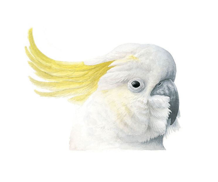 Card - Matteo - 100mm x 100mm