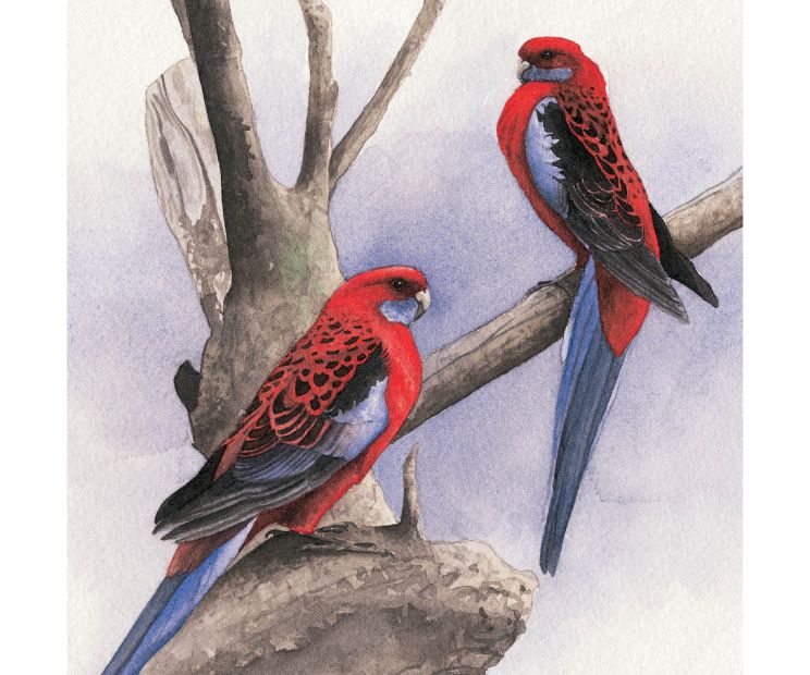 Card - Matteo - 100mm x 100mm