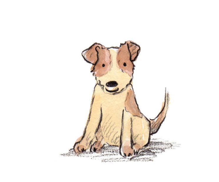 Card - Nicky Johnston - 100mm x 100mm