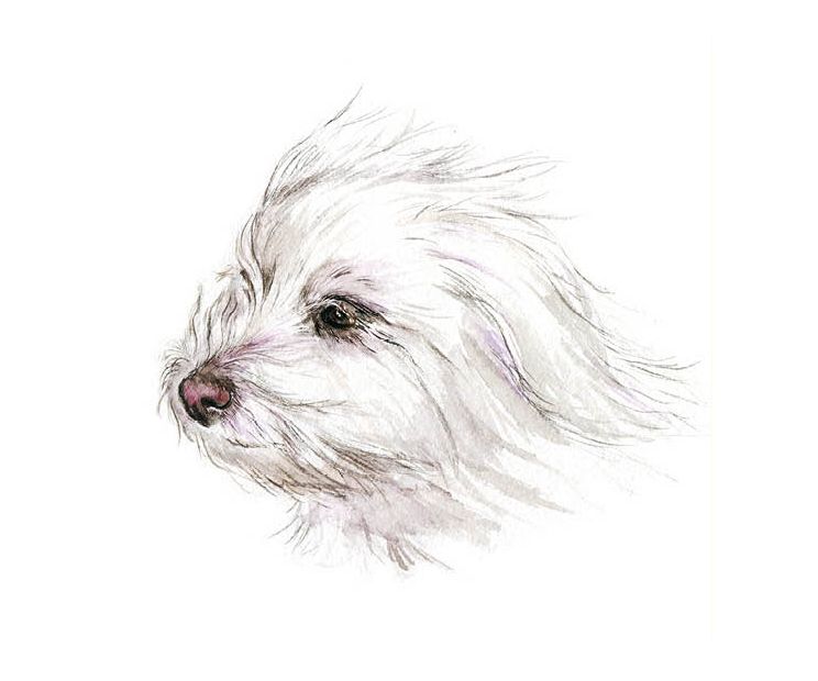 Card - Tog And Pini - 140mm x 140mm