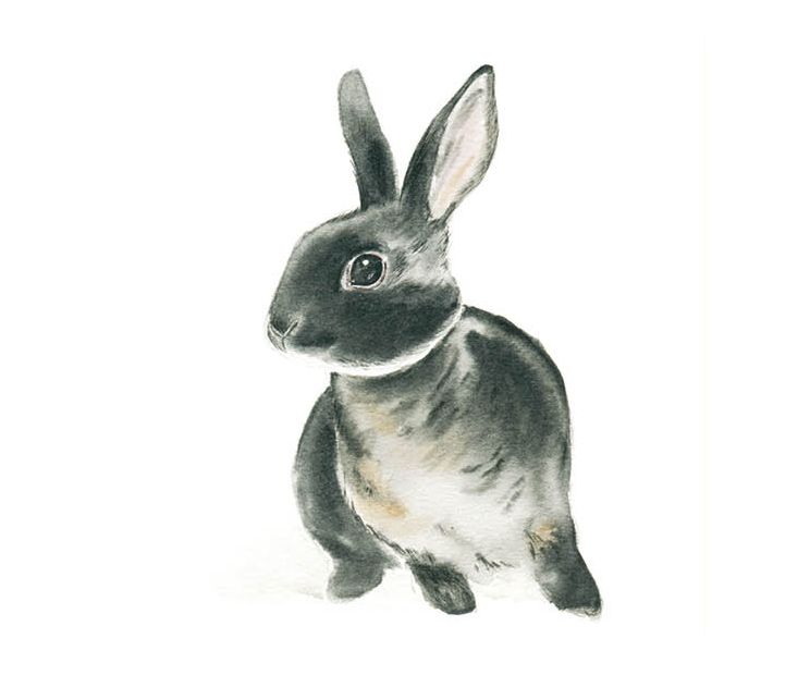 Card - Tog And Pini - 140mm x 140mm