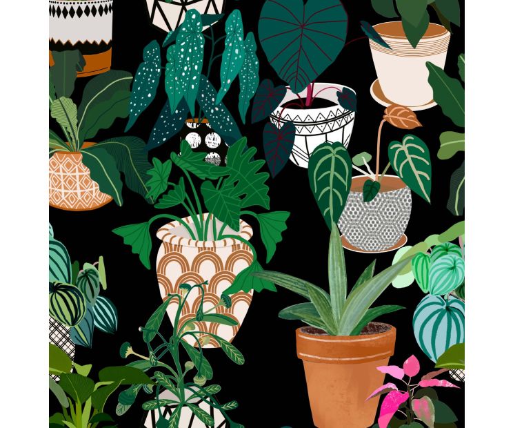 Card - Pots & Plants by Robyn Hammond