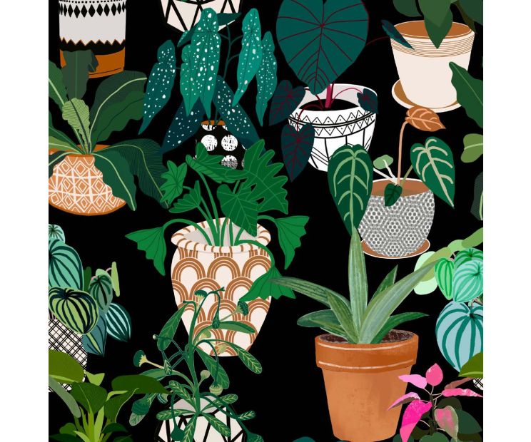 Card - S Pots & Plants by Robyn Hammond