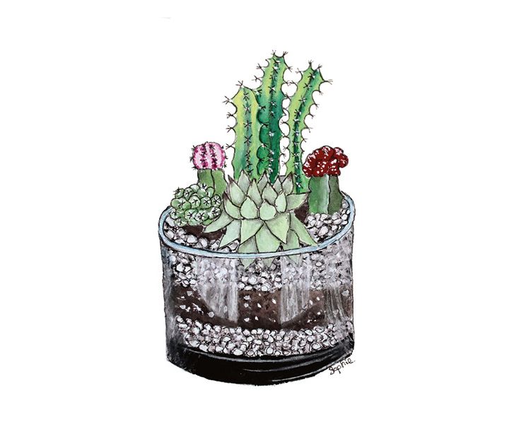 Card - Sophie Pittaway - 100mm x 100mm