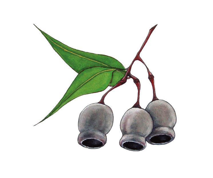 Card - Sophie Pittaway - 100mm x 100mm