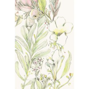 Card - Anna Pignataro - 100mm x 150mm