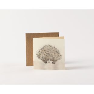 Card - Echidna by Aleta