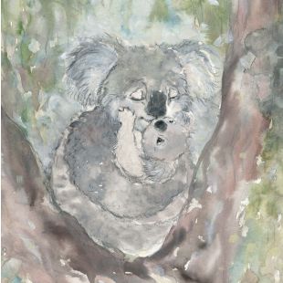 Card - Cuddling Koalas by Aleta