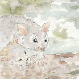 Card - Brushtail Possums by Aleta