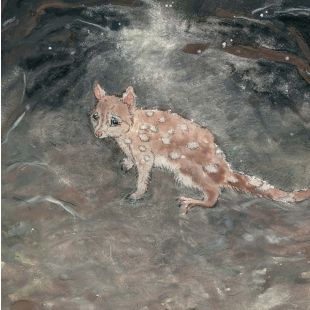 Card - Exploring Spotted-Tail Quoll by Aleta