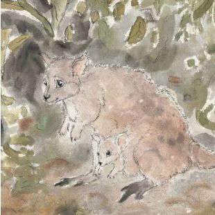Card - Pademelon by Aleta