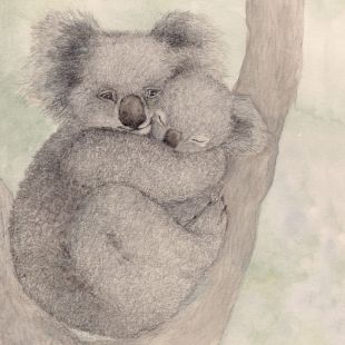 Card - Koala Cuddles by Aleta