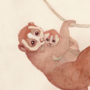 Card - Mother & Baby Possum by Aleta