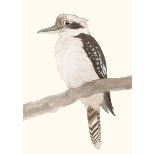 Card - Kookaburra by Aleta