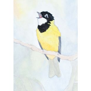Card - Golden Whistler by Aleta