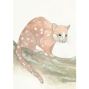 Card - Spotted-Tail Quoll by Aleta