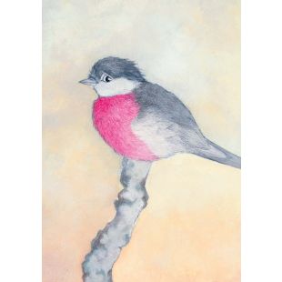 Card - Pink Robin by Aleta
