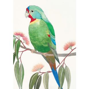 Card - Swift Parrot by Aleta