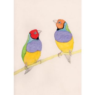 Card - Gouldian Finches by Aleta