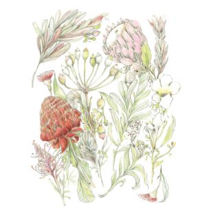 Card - Anna Pignataro - 125mm x 175mm