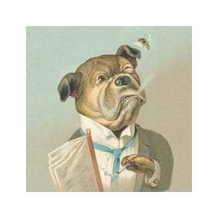 Card - Bella Vintage - 140mm x140mm