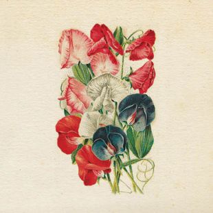 Card - Bella Vintage - 100mm x 100mm