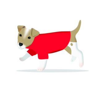 Card - S Jack Russell In Red Jumper by Cat MacInnes