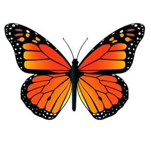 Card - Cat Macinnes - 140mm x 140mm