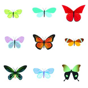 Card - Cat Macinnes - 100mm x 100mm