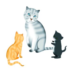 Card - Cat Macinnes - 140mm x 140mm