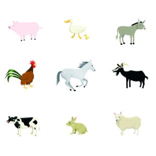 Card - Cat Macinnes - 140mm x 140mm