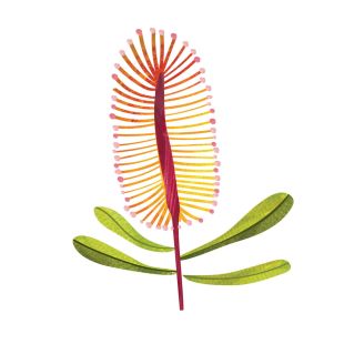 Card - Cat Macinnes - 140mm x 140mm