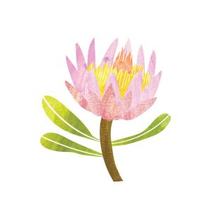 Card - Cat Macinnes - 140mm x 140mm