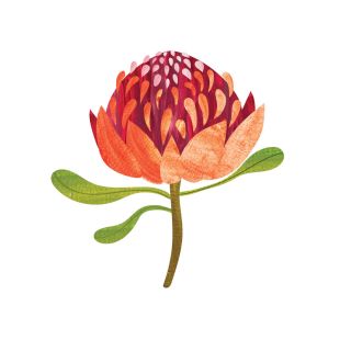 Card - Cat Macinnes - 100mm x 100mm