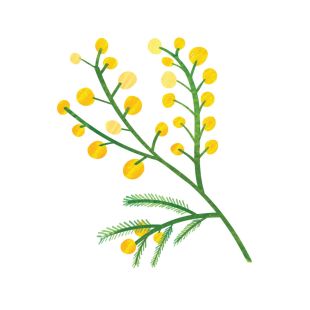 Card - Cat Macinnes - 100mm x 100mm