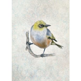 Card - Christina Booth - 125mm x 175mm